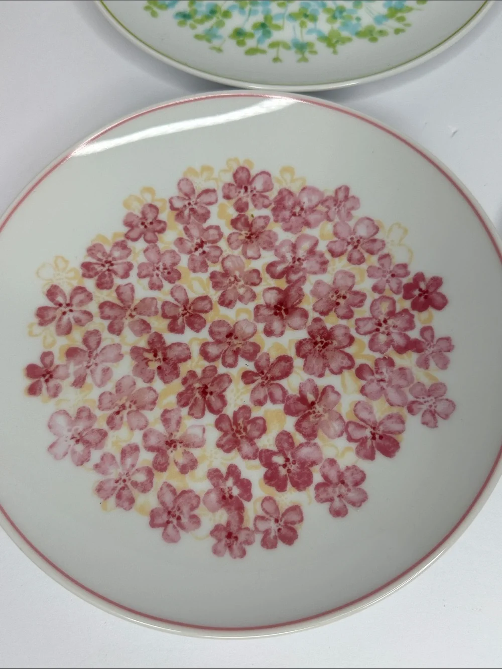 Crate&Barrel Floral Dessert Plates in Green, Purple, Pink, Teal - Set of 4